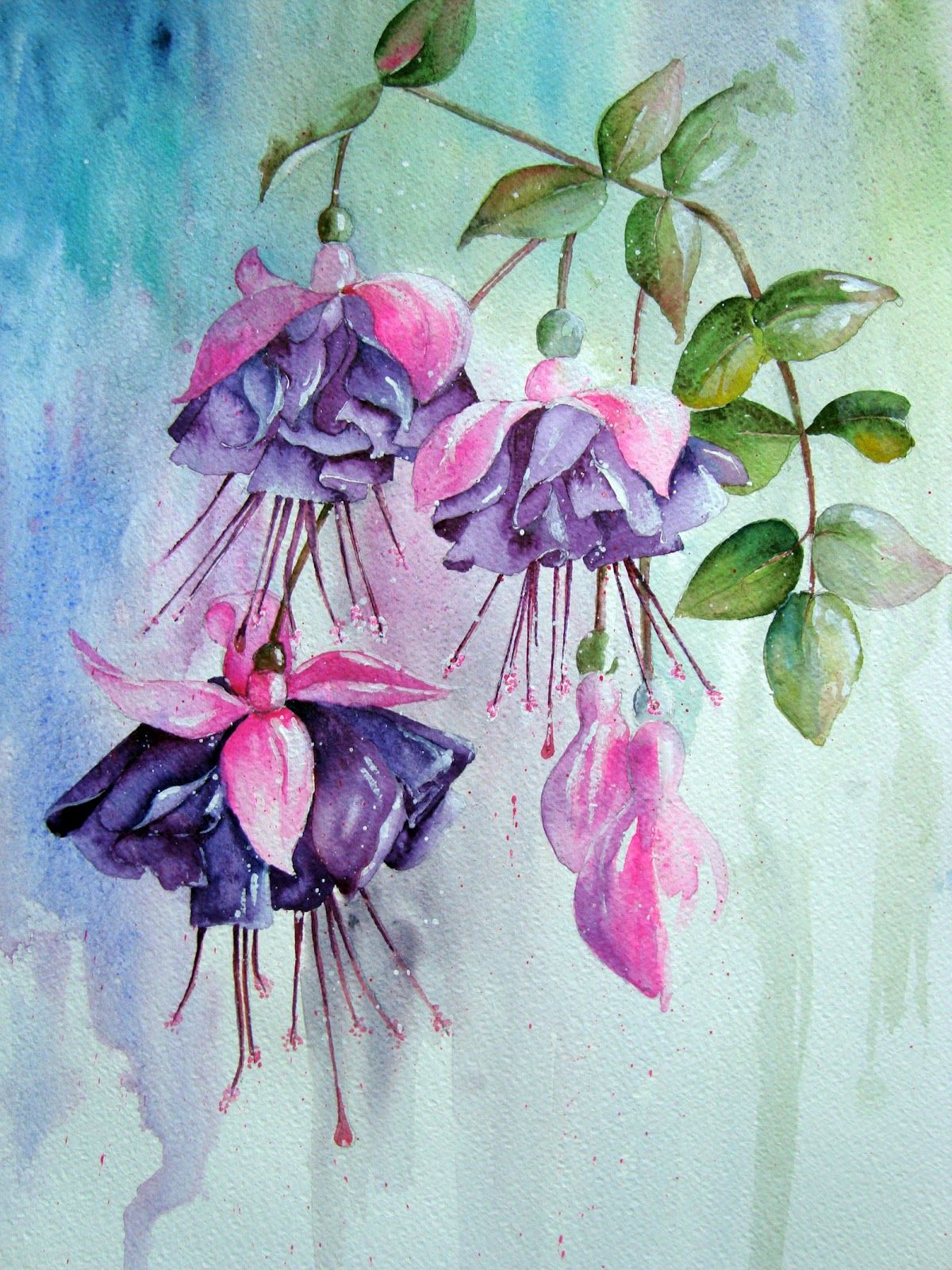 1200x1600 Watercolour Florals Fuchsia Again Khudozhniki - Fuchsia Watercolor