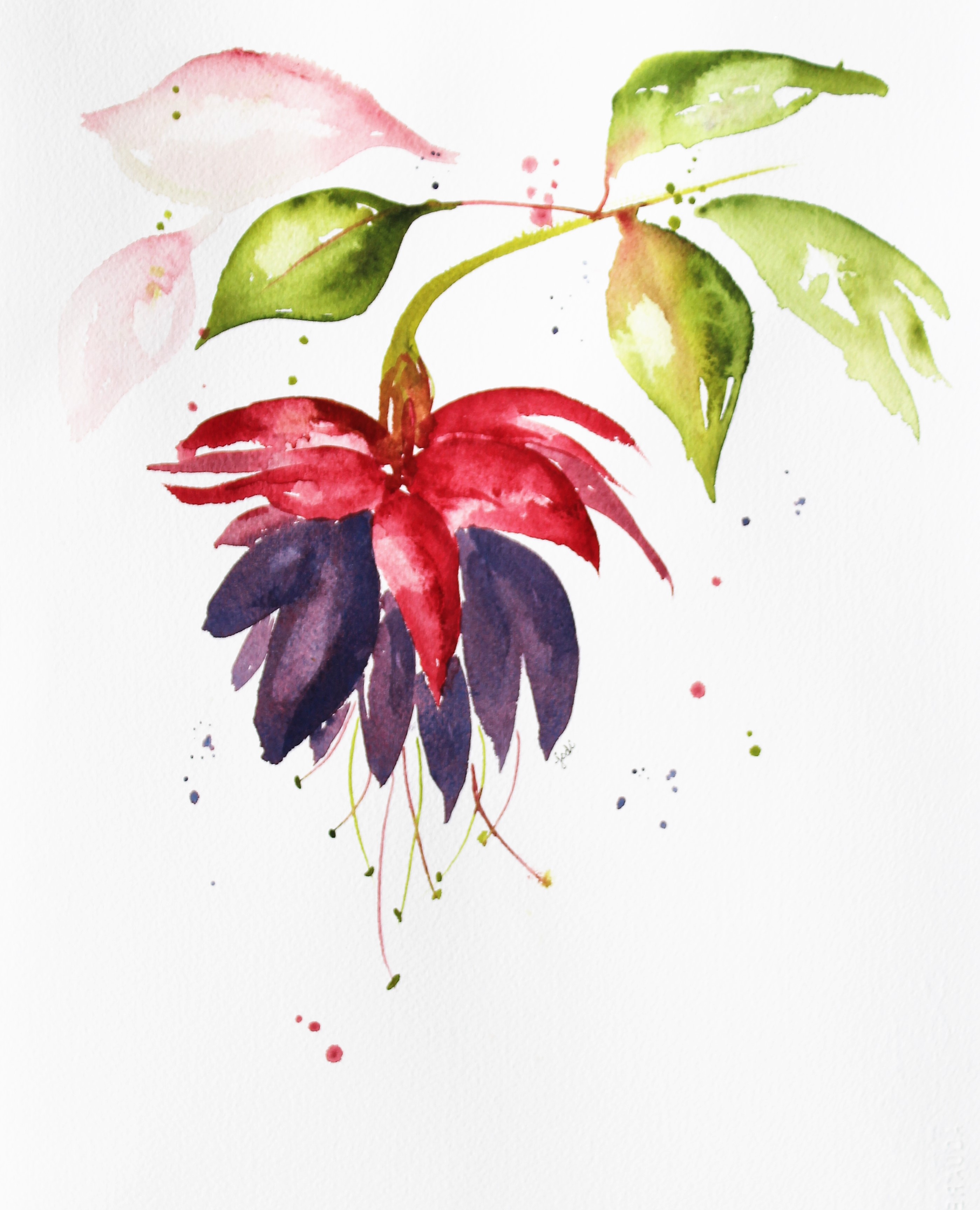2796x3452 Creative Inspiration In Food, Watercolor, Photography, Writing And - Fuchsia Watercolor
