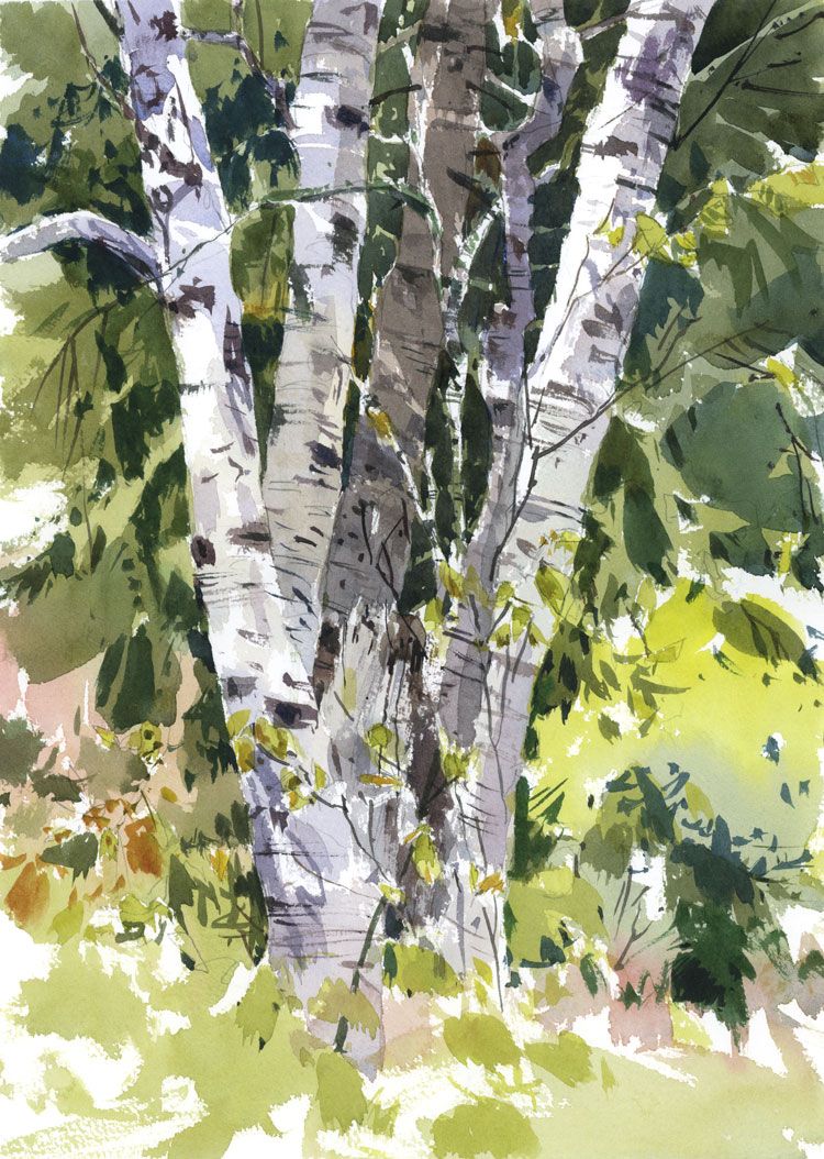 750x1054 I Tried Out Some Strathmore Gemini Watercolour Paper On The - Gemini Watercolor Paper