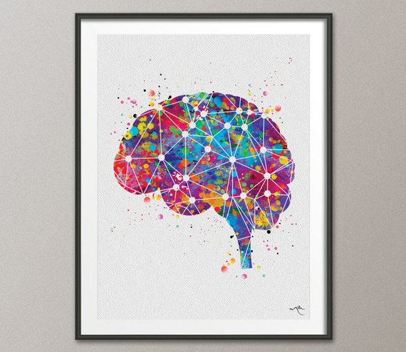 570x494 Brain Anatomy Geometric Watercolor Print Medical Art Science Etsy - Geometric Watercolor Art