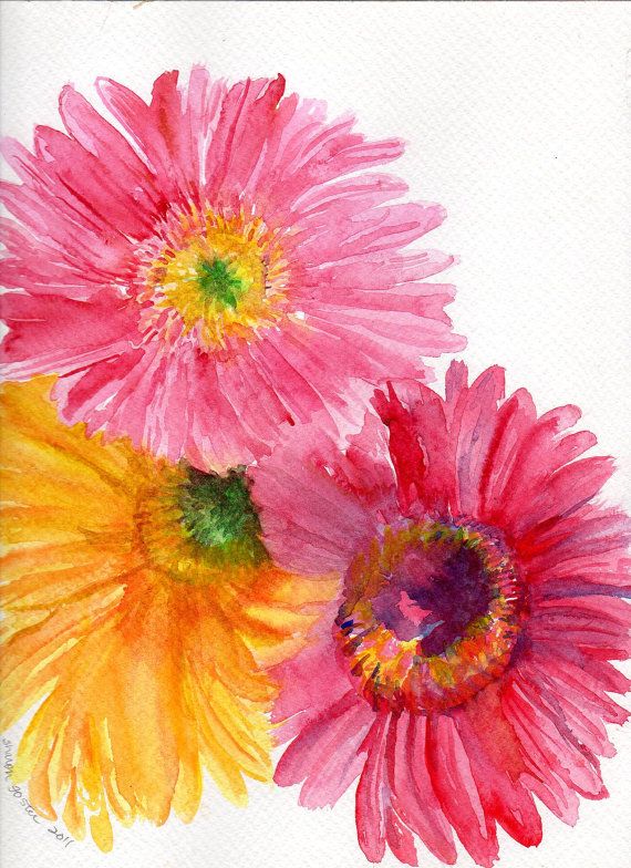570x784 Gerbera Daisy Watercolor Painting Original, Pink Gerber Daisy - Gerbera Daisy Watercolor