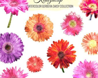 340x270 Gerbera Watercolor Etsy - Gerbera Daisy Watercolor