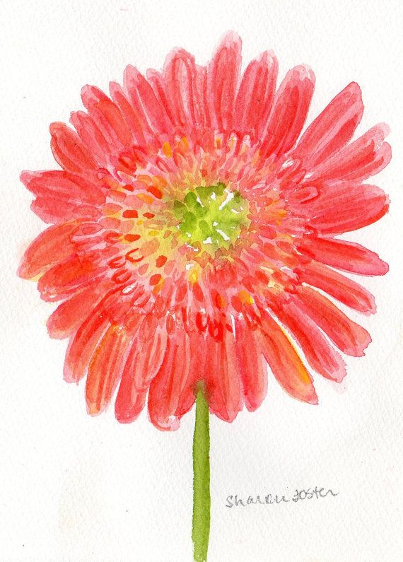 570x795 Watercolor Painting Gerbera Daisies Watercolor, Yellow And Orange - Gerbera Daisy Watercolor