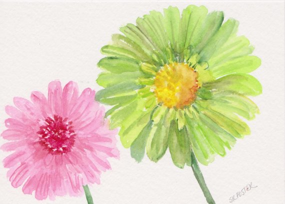 570x408 Gerber Daisies Watercolor Painting Original Gerbera Etsy - Gerbera Daisy Watercolor