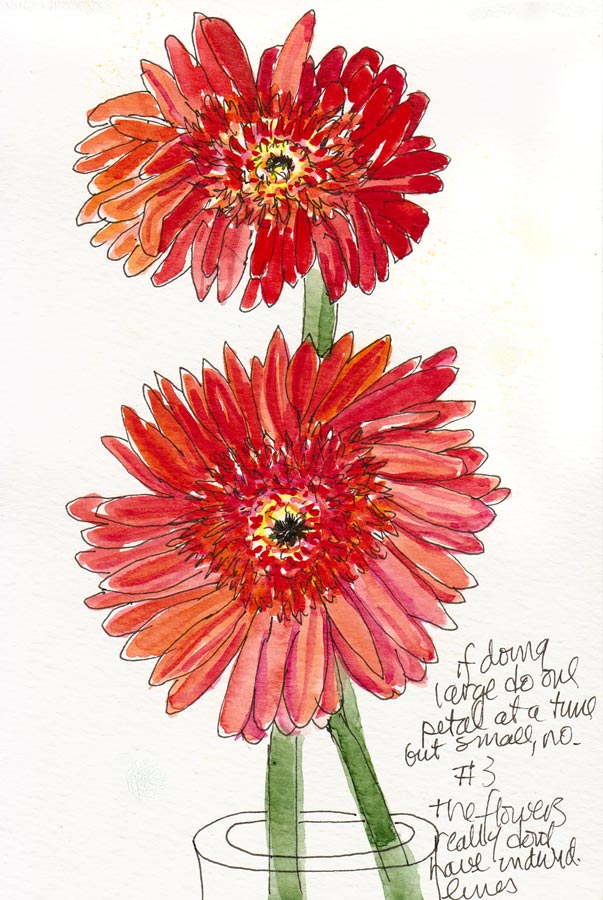 603x900 Gerbera Daisy, Attempt - Gerbera Daisy Watercolor