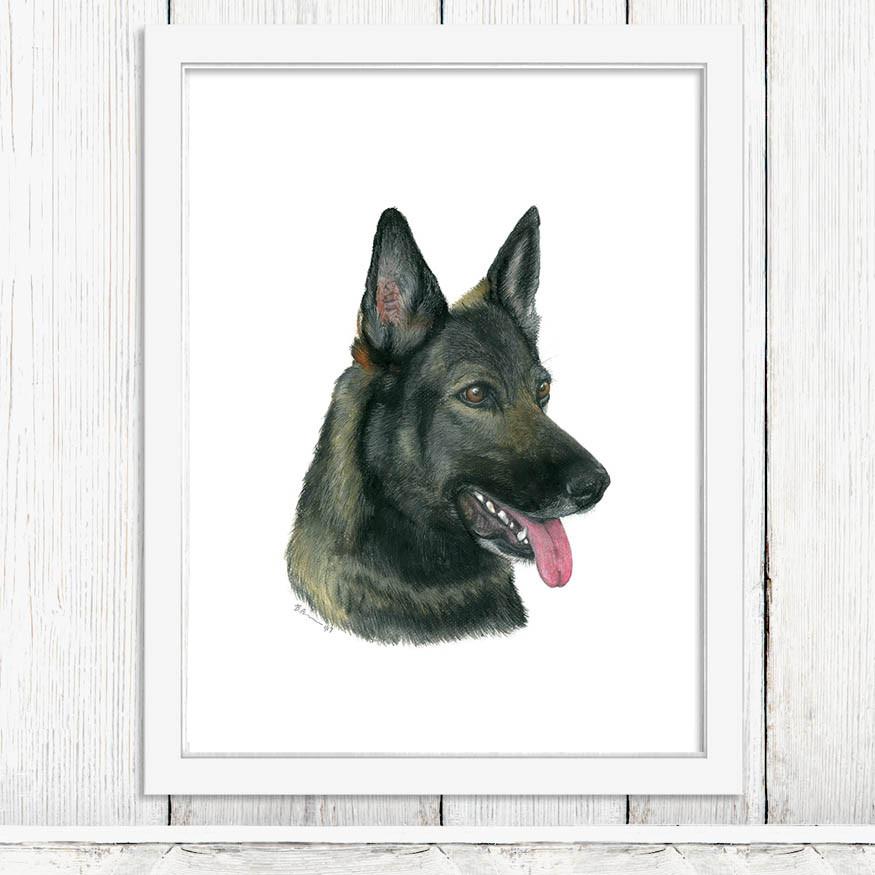 German Shepherd Watercolor at PaintingValley.com | Explore collection ...