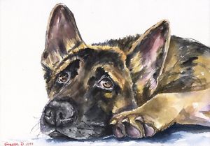 300x209 German Shepherd Print Of The Original Watercolor Painting Puppy - German Shepherd Watercolor
