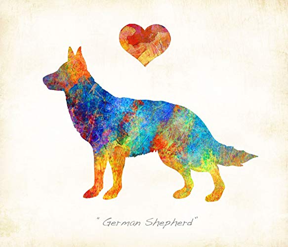 583x500 German Shepherd Dog Breed Watercolor Art Print By Dan - German Shepherd Watercolor