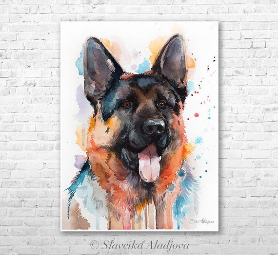 570x524 German Shepherd Watercolor Painting Print By Slaveika Etsy - German Shepherd Watercolor