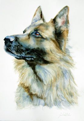 277x400 Sally Robertson Watercolor Tattoos Sally - German Shepherd Watercolor