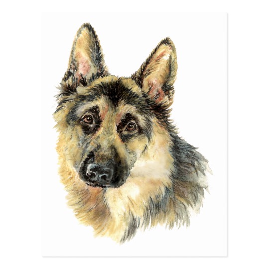 540x540 Watercolor German Shepherd Pet Dog Animal Postcard - German Shepherd Watercolor