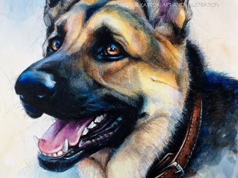 480x360 Watercolor And Colored Pencil Gsd Speed Painting By Ch.karron - German Shepherd Watercolor