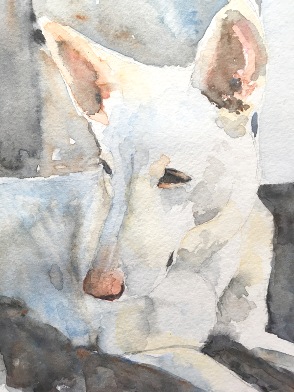 600x800 White German Shepherd Watercolor Painting - German Shepherd Watercolor