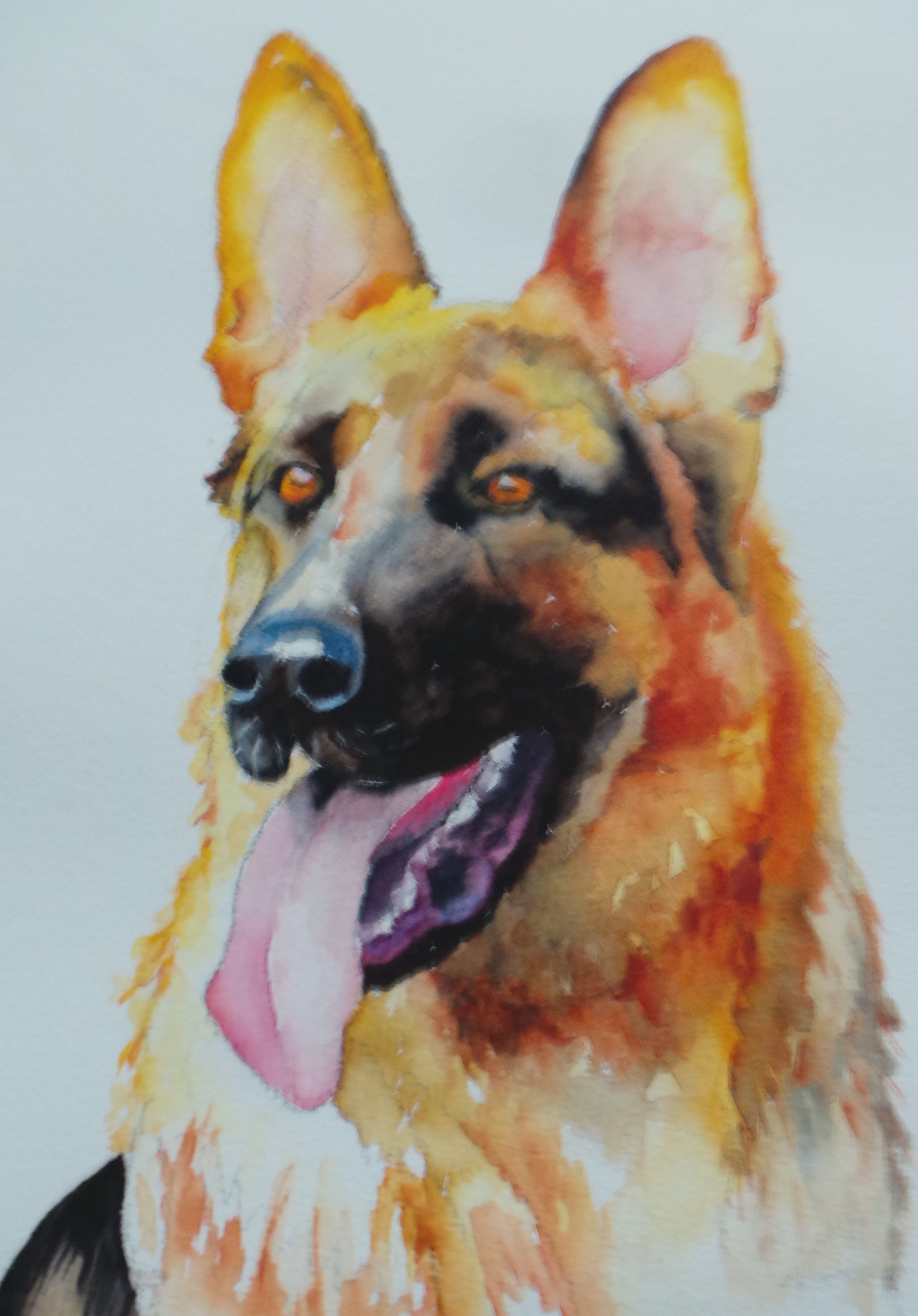 2743x3931 Dog, German Shepherd, Watercolor, Painting, Pet, Memorial Animal - German Shepherd Watercolor