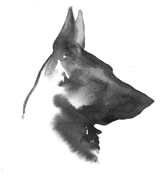 570x607 Black German Shepherd Watercolor Painting By Whiskeredpaintings - German Shepherd Watercolor