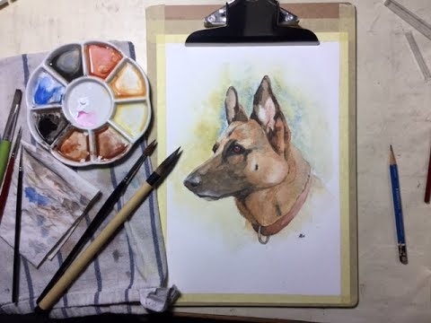 480x360 German Shepherd Portrait In Watercolour - German Watercolors