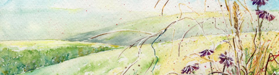 960x260 Gimp Watercolor 365 - Gimp Watercolor