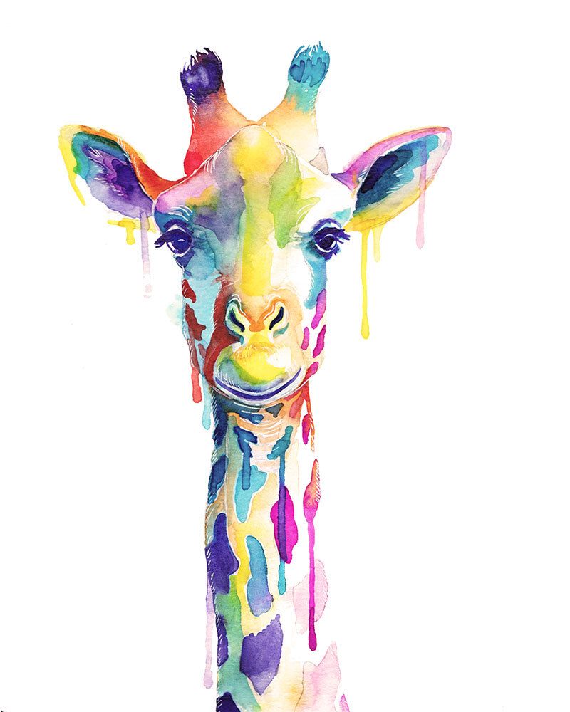 800x1000 Colorful Giraffe Watercolor Print - Giraffe Watercolor