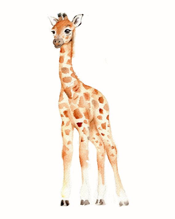 570x712 Elephant Nursery Decor, Watercolor Painting, Elephant Art Print - Giraffe Watercolor