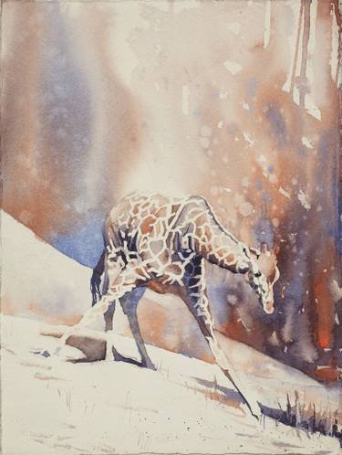 375x498 Fine Art Watercolor Painting Of Giraffe - Giraffe Watercolor