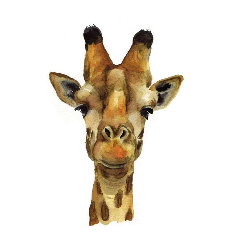 800x800 Giraffe Watercolor Paint Kit - Giraffe Watercolor