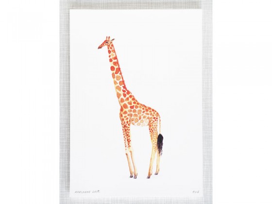 560x420 Giraffe Watercolor Print By Mary Amp The Locks - Giraffe Watercolor