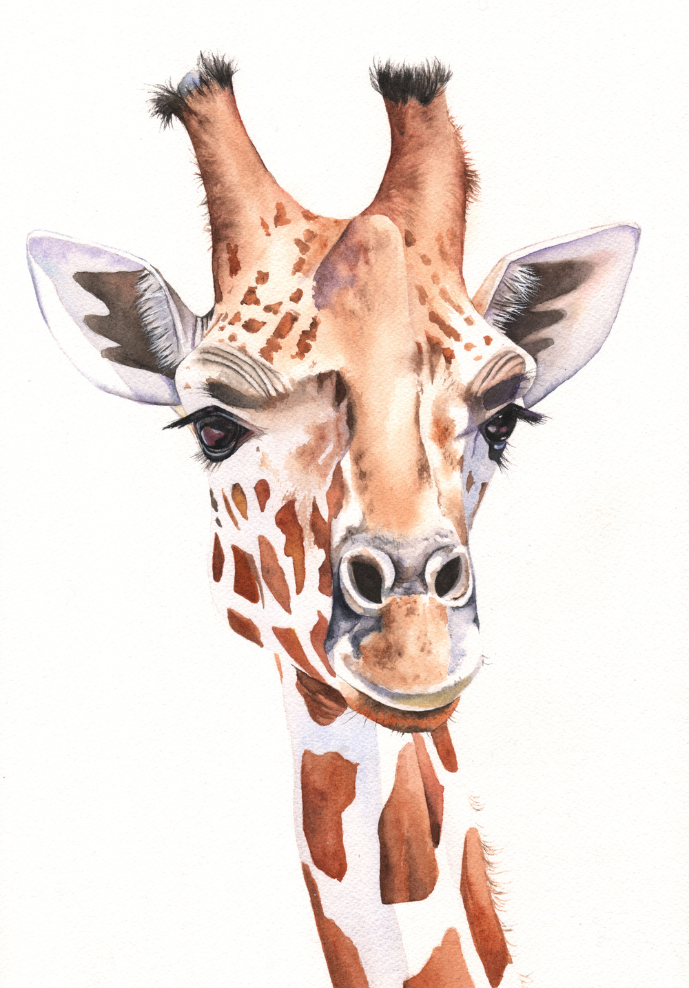 1000x1434 Giraffe Louise De Masi - Giraffe Watercolor