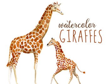 340x270 Watercolor Giraffe Etsy - Giraffe Watercolor