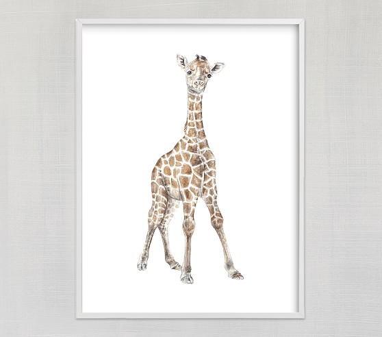 558x492 Baby Giraffe Watercolor Wall Art By Pottery Barn Kids - Giraffe Watercolor