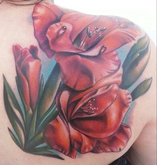 500x526 Gladiolus Tattoo - Gladiolus Watercolor Tattoo