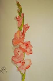 183x275 Image Result For Gladiolus Watercolor Tattoo Ireland Tattoo - Gladiolus Watercolor Tattoo