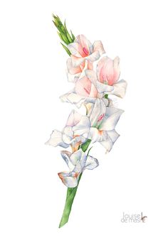 236x332 Pretty Gladiolus Hankie. Seasons Spring Gladioli - Gladiolus Watercolor Tattoo