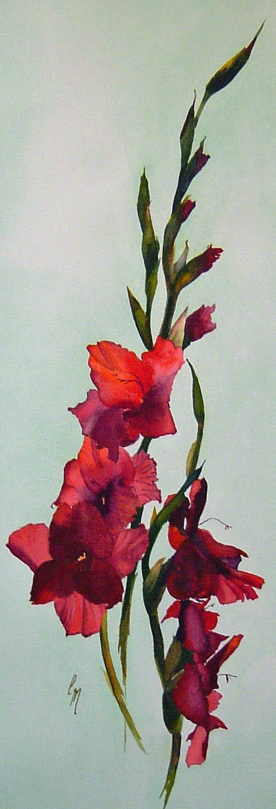 547x1600 Watercolor Gladiolus, This Is Perfect! Want This For My Grandma - Gladiolus Watercolor Tattoo
