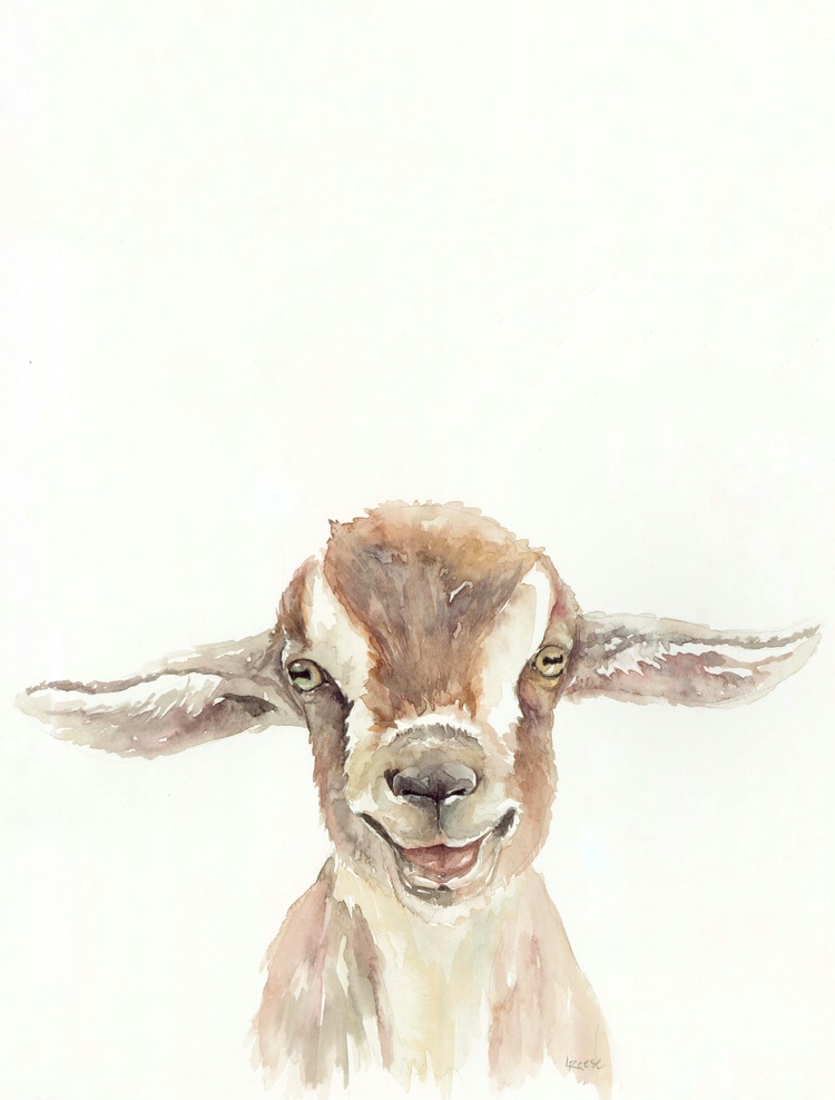 Goat Watercolor at PaintingValley.com | Explore collection of Goat ...