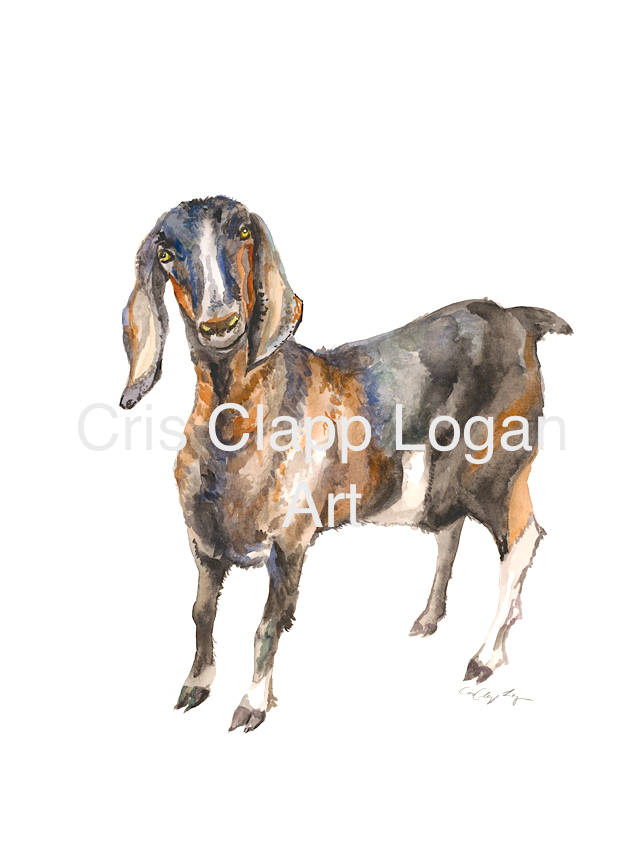 640x864 Goat Watercolor Print - Goat Watercolor