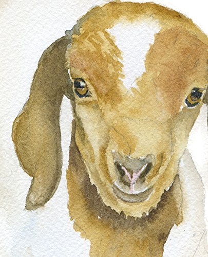 405x500 Goat Watercolor Painting Giclee Print Reproduction - Goat Watercolor