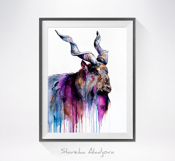 570x525 Goat Watercolor Painting Print - Goat Watercolor