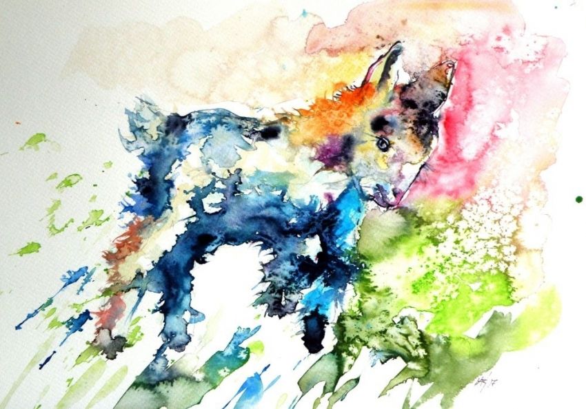 850x594 Baby Goat Playing Paintings By Kovacs Anna Brigitta - Goat Watercolor