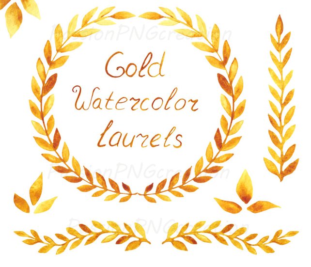 642x551 Gold Watercolor Laurels Hand Drawn Transparent Background Etsy - Gold Watercolor