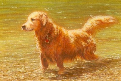 400x269 Golden Retriever Miniature Watercolor Painting - Golden Retriever Watercolor