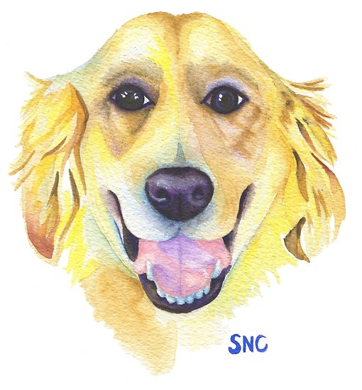 510x550 Happy Golden Retriever Watercolor Painting - Golden Retriever Watercolor