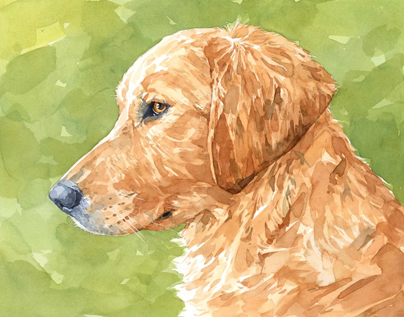 1600x1254 Puppy Painting New Golden Retriever Art Print Watercolor Limited - Golden Retriever Watercolor