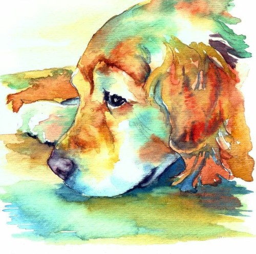 500x496 Retriever Watercolor Tumblr - Golden Retriever Watercolor