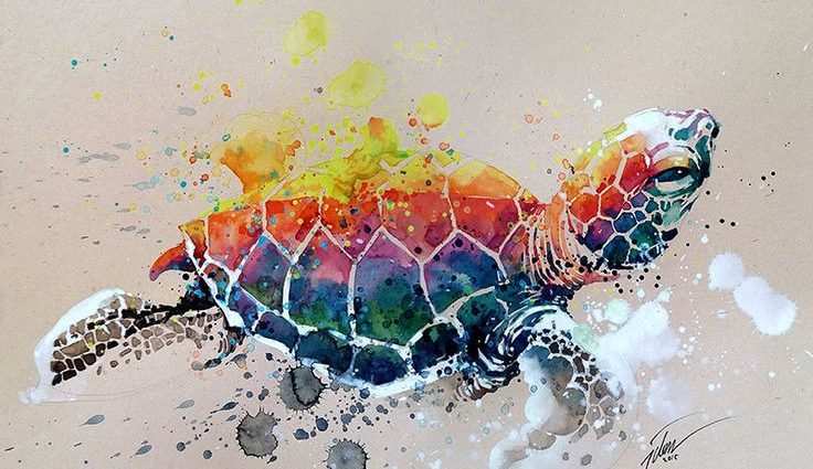 736x425 Cool Watercolor Painting Ideas Best Of Good Ideas For Watercolor - Good Watercolor Ideas