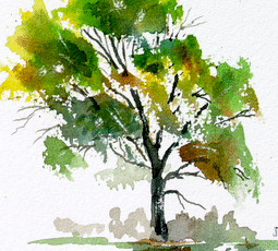 255x230 Watercolor Painting Expressions - Good Watercolor Ideas