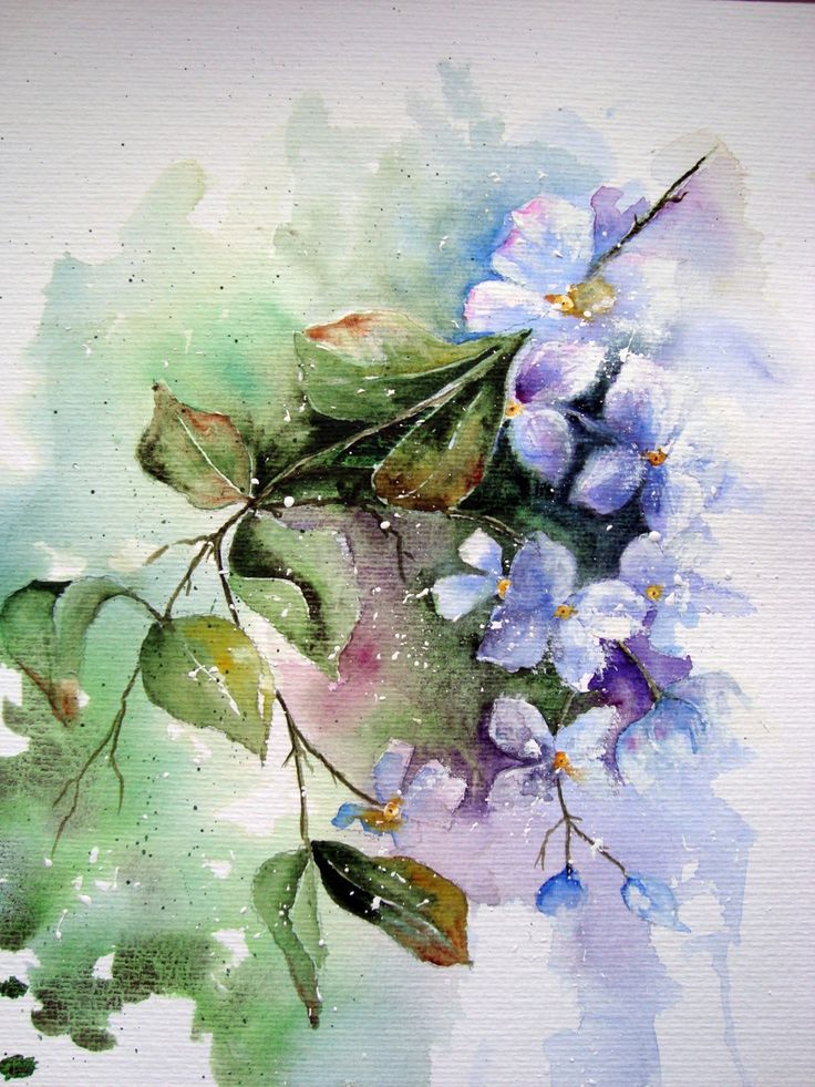 736x981 Collection Of Best Watercolor Drawing High Quality, Free - Good Watercolor Ideas