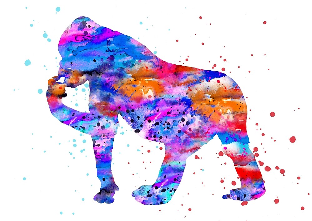 1000x707 Gorilla, Watercolor Gorilla By Rosaliartbook Redbubble - Gorilla Watercolor