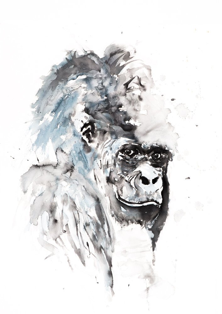 707x1000 Gorilla Watercolor Painting Watercolour - Gorilla Watercolor