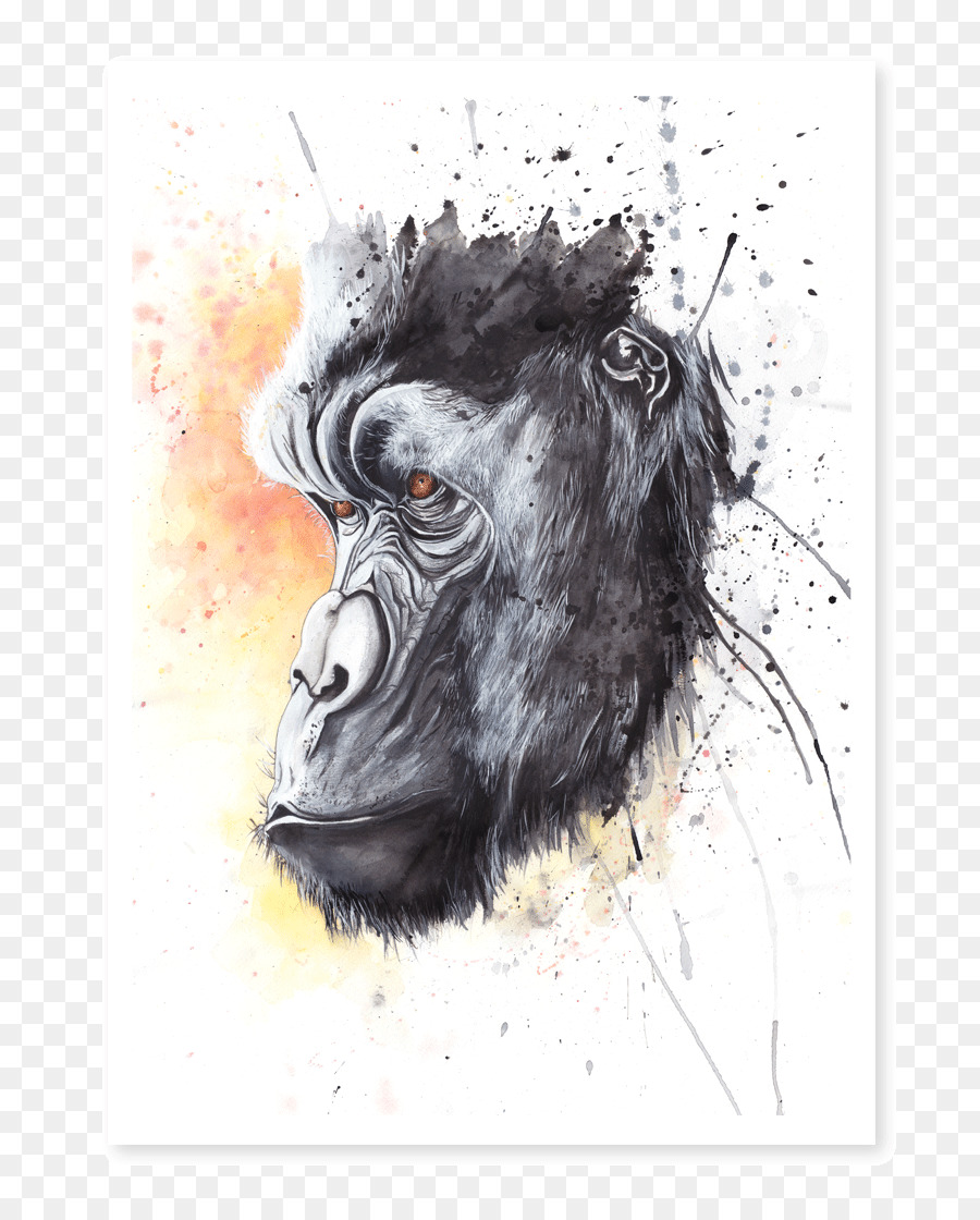 900x1120 Gorilla Watercolor Painting Drawing Art - Gorilla Watercolor
