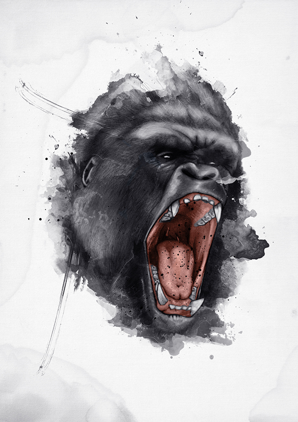 600x849 Gorilla On Behance - Gorilla Watercolor